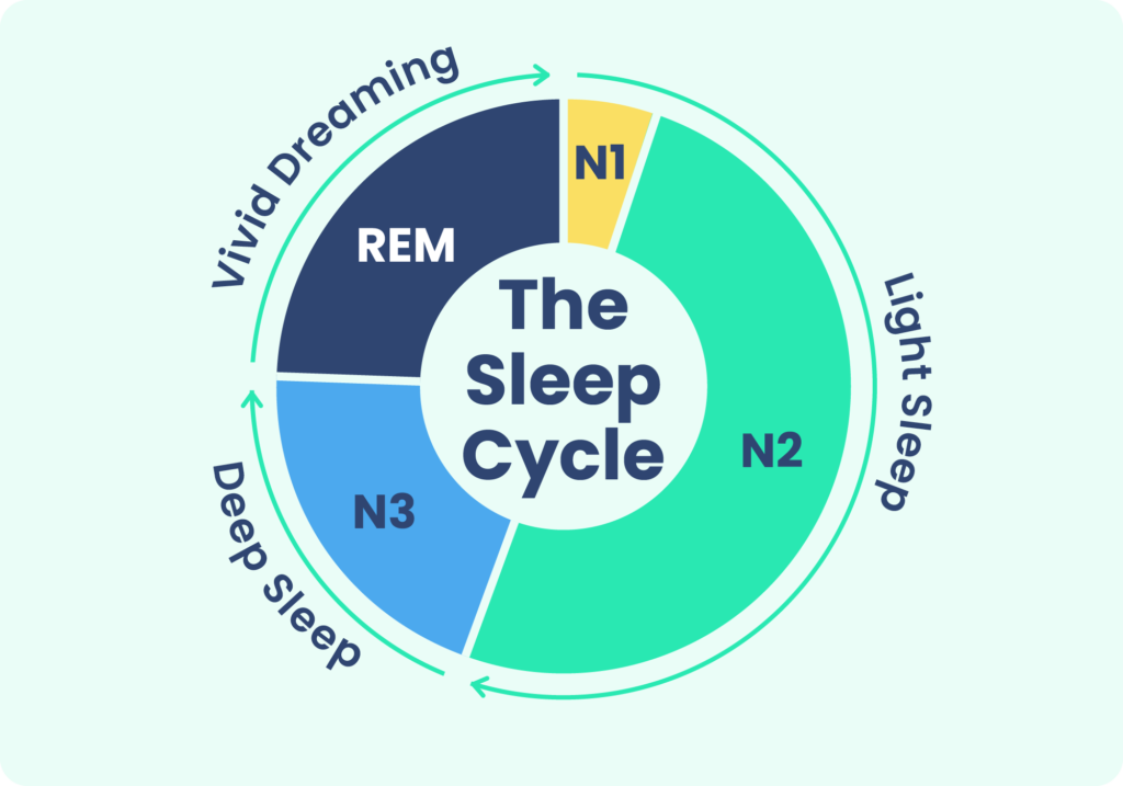 An Image of the different types of sleep